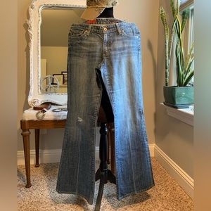 Adriano Goldschmied The Club Wide Leg Jeans Size 30R